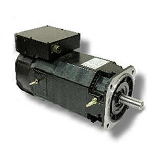  Spindle Motor YSPM Series (Foot-Mounted)