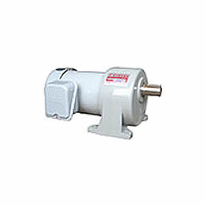  Gear Motor